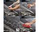 Кольорова поліроль із воском сірий Sonax Polish&Wax Color NanoPro 500 мл 296300 фото 4